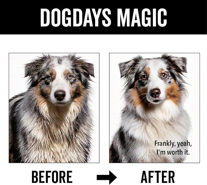 Pride and Groom DogDays Deshedding Dog Shampoo | Fast-Acting Coat Softener & - Image 5