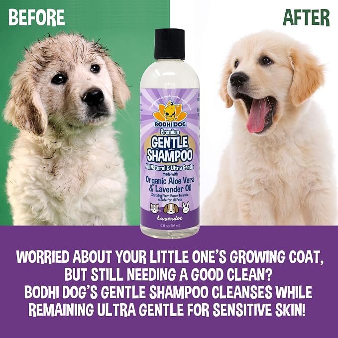 Bodhi Dog Premium Gentle Shampoo - Image 6