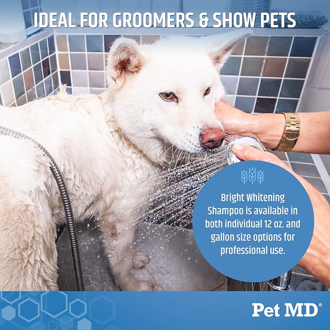 Pet MD Bright Whitening Shampoo - Image 4