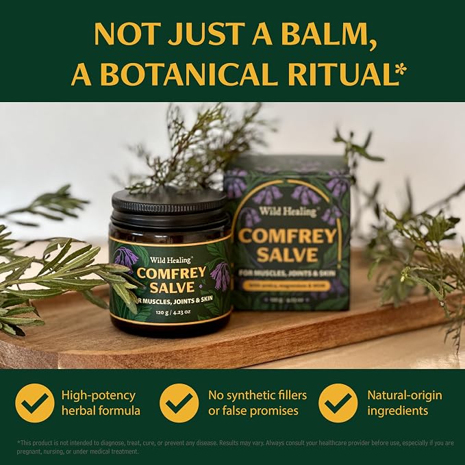 Wild Healing Comfrey Salve – Concentrated Herbal Balm - Image 8