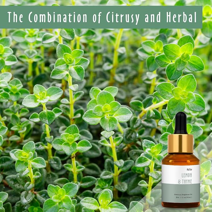 Lemon & Thyme Fragrance Oil, MitFlor Single Scented Oil, Large Size Premium - Image 2