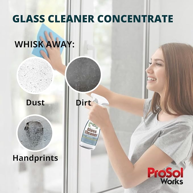 Glass Cleaner 16 oz - Image 5