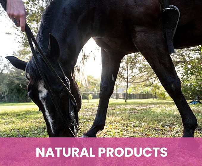 Holistic Natural Derived Calming Pet Shampoo - Image 9