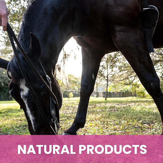 Holistic Natural Derived Calming Pet Shampoo - Image 6