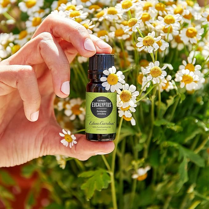 Lemon Eucalyptus 100% Pure Therapeutic Grade Essential Oil - 30 ml - Image 2