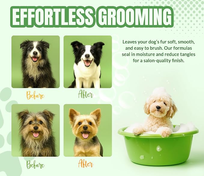 ALFIE'S CHOICE Fresh & Clean Dog Shampoo and Conditioner Set | 16 fl oz Each | - Image 6