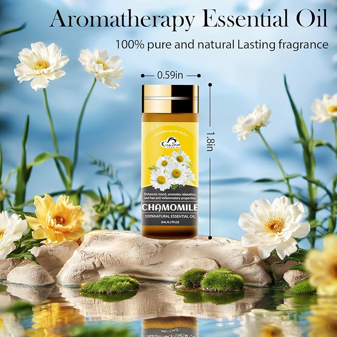 Essential Oil Set, 5ML Fragrance Gift Set - Image 2