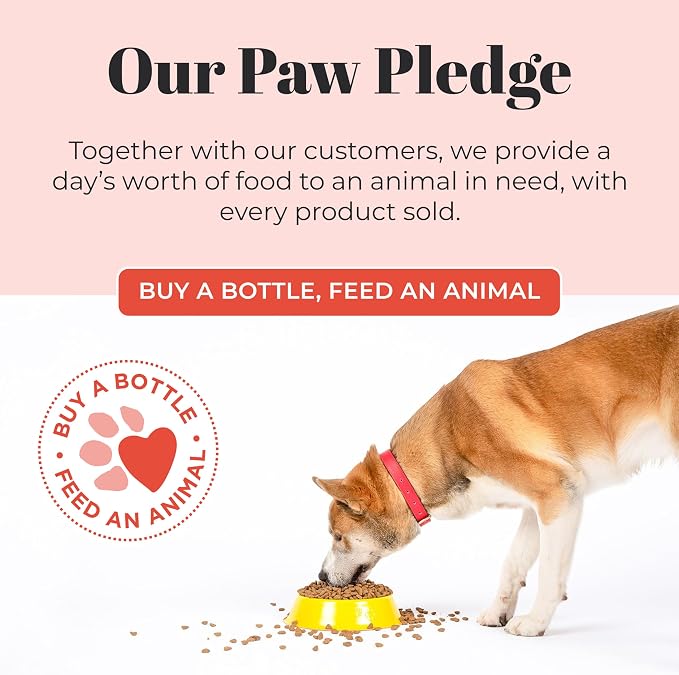 Skout's Honor Probiotic Dog Shampoo & Conditioner - Image 6