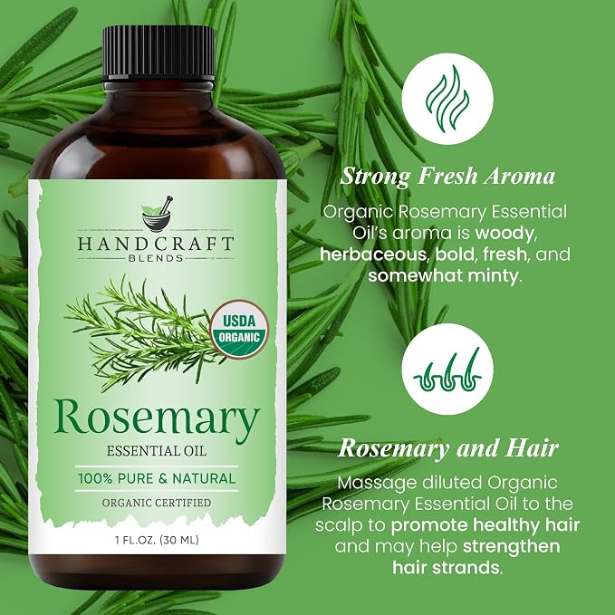 Handcraft Blends Organic Rosemary Essential Oil – 1 Fl Oz – 100% Pure and - Image 4