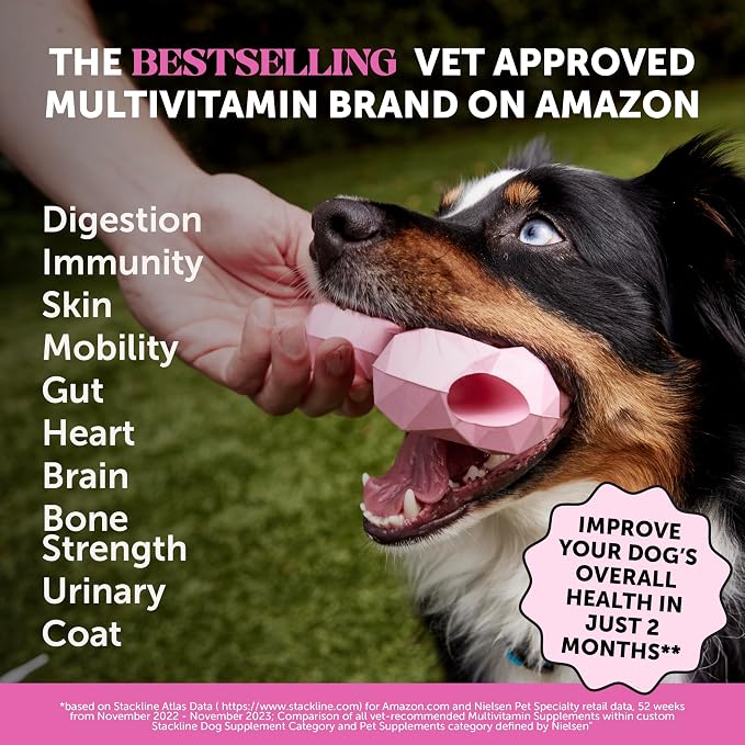 Multivitamin Dog Supplement, Glucosamine Chondroitin - Image 2