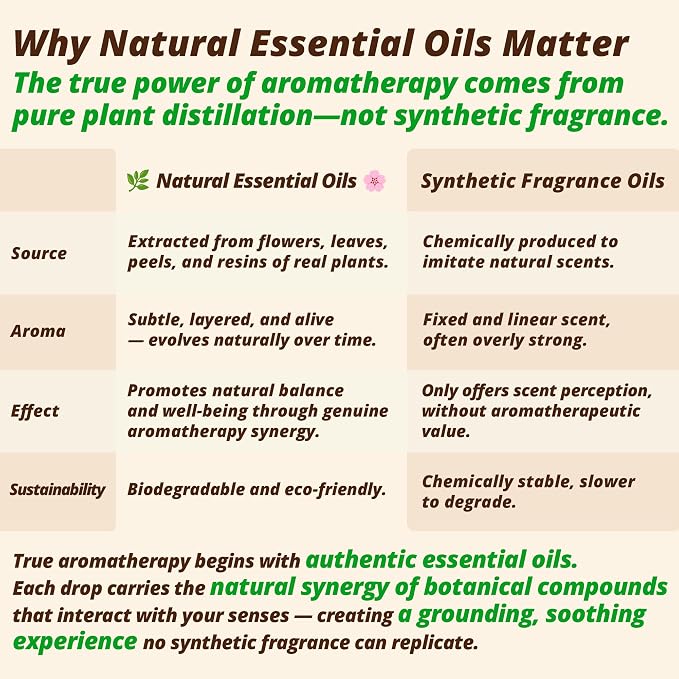 Sandalwood & Bergamot Aromatherapy Body & Massage Oil – Lightweight, - Image 9