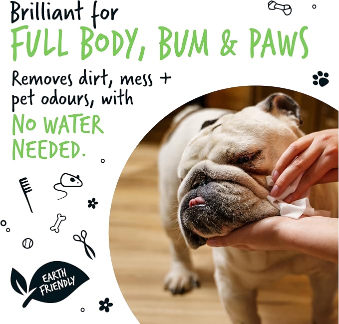 BUGALUGS Dog Wipes, 100% Plastic Free Biodegradable pet Wipes - Image 6