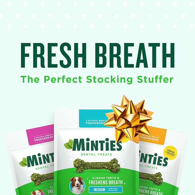 Minties Dog Dental Bone Treats, Tiny/Small Dental Dog Treats, Clean Teeth - Image 2