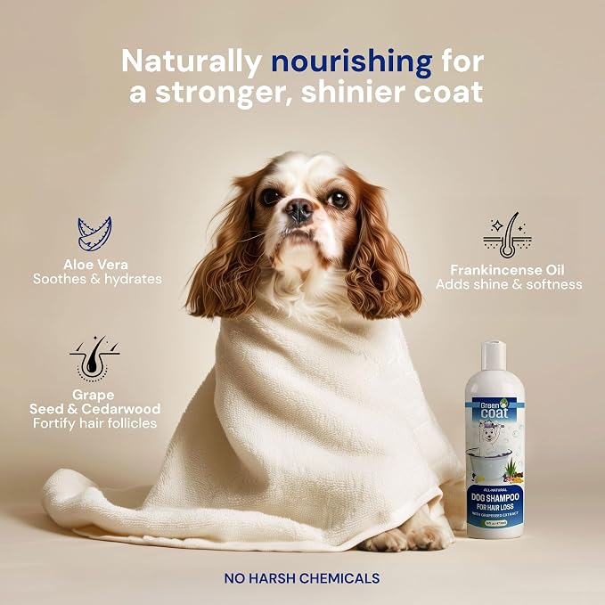 Natural Dog Shampoo for Hair Loss - Image 3