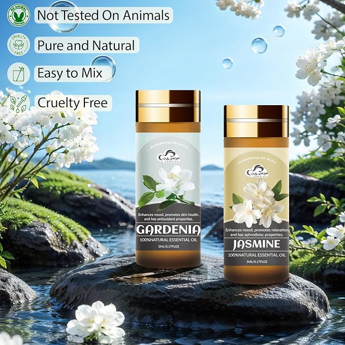 Essential Oil Set, 5ML Fragrance Gift Set - Image 3