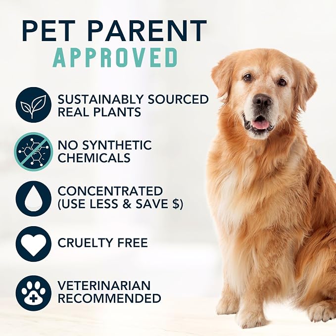4Legger Organic Dog Shampoo, Cooling Peppermint Tea Tree Dog Shampoo - Image 5