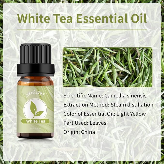 yethious White Tea Essential Oil White Tea Oil - Image 2