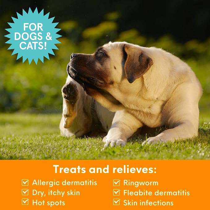 Nootie Medicated Pet Shampoo, Chlorhexidine Dog Shampoo - Image 2