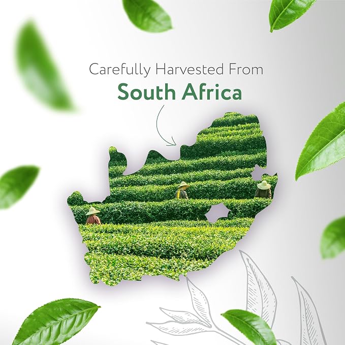HBNO Organic Tea Tree Oil - Image 3