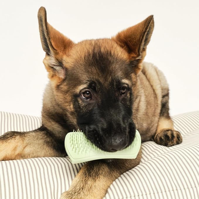 Pet Teezer Puppy Essential Dog Brush, - Image 7