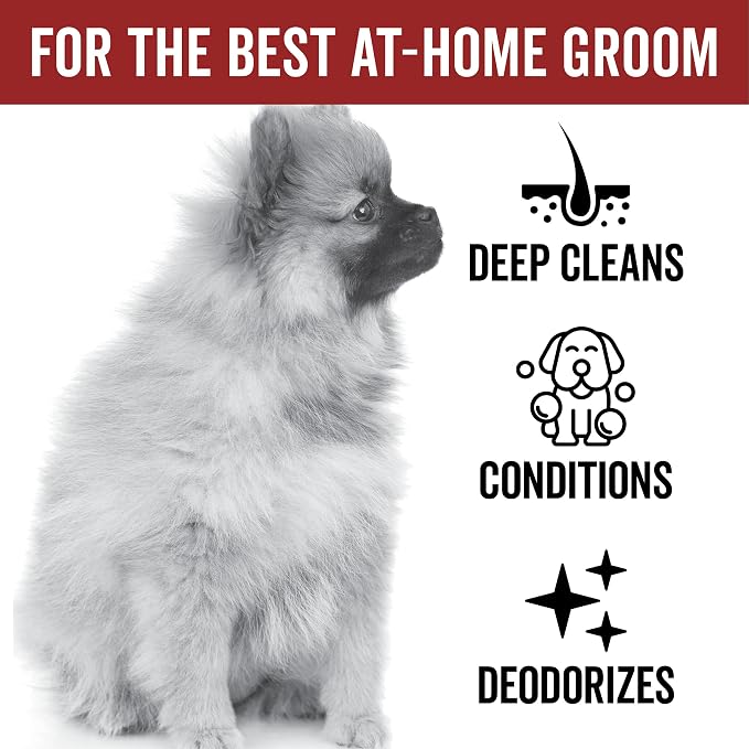 Pride and Groom DogDays Deshedding Dog Shampoo | Fast-Acting Coat Softener & - Image 2