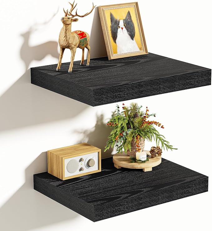 Vivelove 10.2 Inches Floating Shelves Wall Mounted, Living Room, Home Decor by VIVELOVE