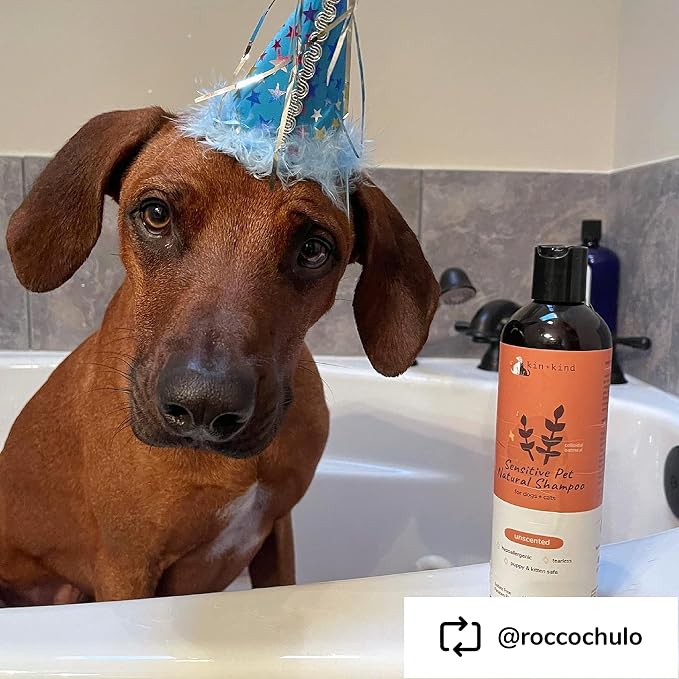 kin+kind Oatmeal Shampoo for Dogs & Cats – Natural Anti Itch Pet Shampoo for - Image 7