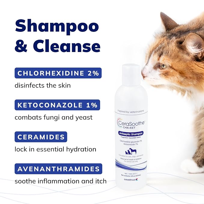 CeraSoothe CHX+KET Antiseptic Shampoo - Image 5