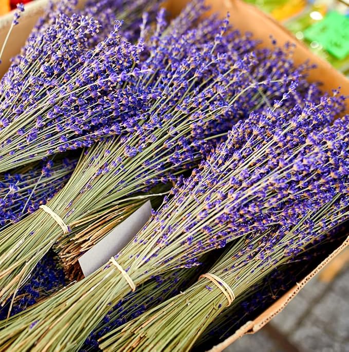 Lavender Oil - Bulgarian Essential Oils - Lavender Diffuser - Pure Therapeutic - Image 9