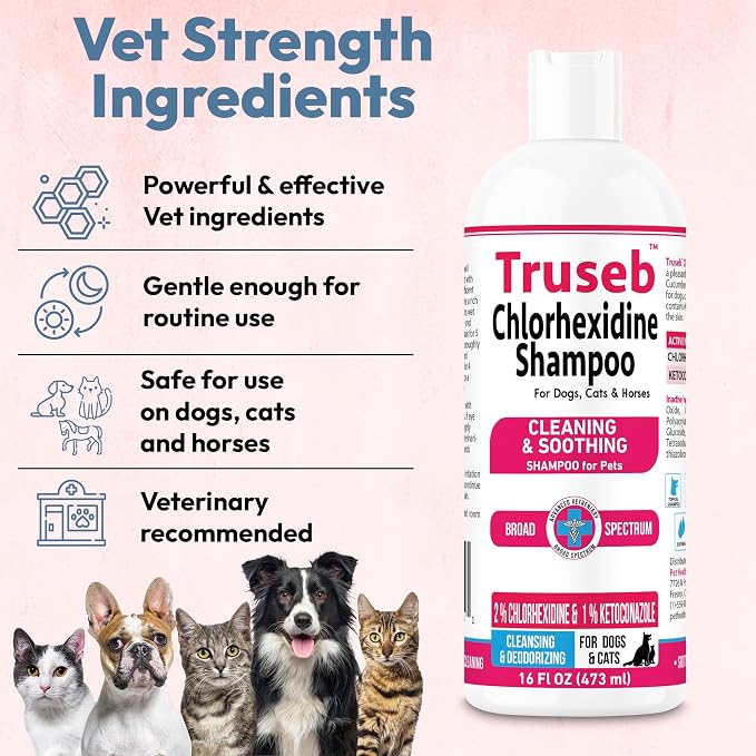 Truseb Topical Ketoconazole and Chlorhexidine Shampoo - Image 6