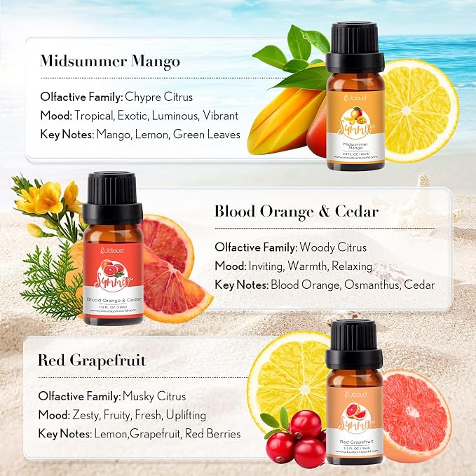 JCLOUD Summer Fragrance Oils Set | Hotel Diffuser Oil & Home Luxury Scents - Image 3
