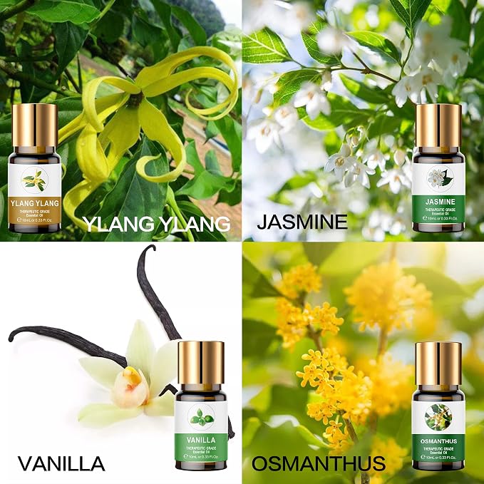 Essential Oils Set, 100% Organic Essential Oil, Ylang Ylang, Tea Tree, - Image 4