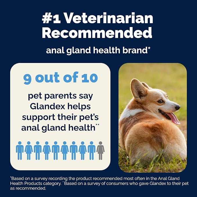 Vetnique Glandex Anal Gland Soft Chew Treats - Image 9