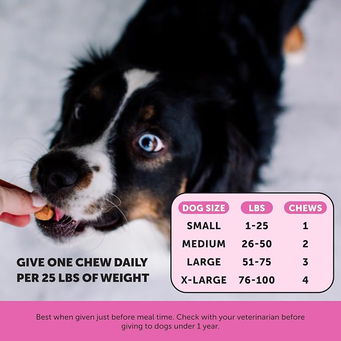 Dog Multivitamin Max Strength - 15 in 1 Vitamins - Image 5