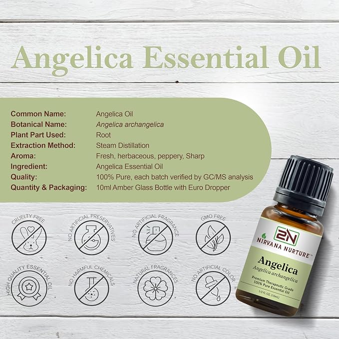 Angelica Essential Oil 100% Pure Premium Therapeutic Grade, Undiluted - Image 2