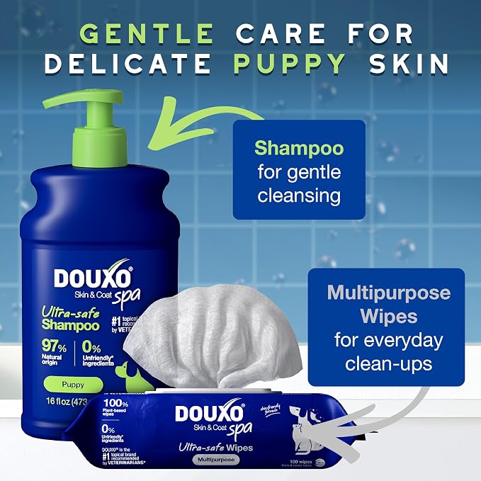 DOUXO® Skin & Coat SPA – Ultra-Safe Combo - Image 3