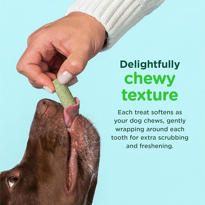 Minties FreshBites Soft and Chewy Dental Treats - Image 5