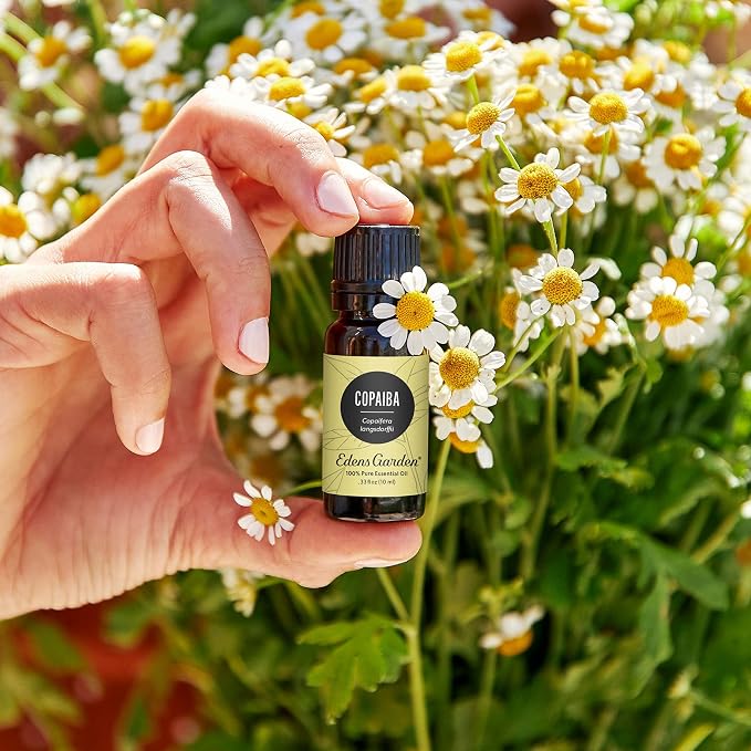 Edens Garden Copaiba Essential Oil- 100% Pure Premium Grade, Therapeutic - Image 2