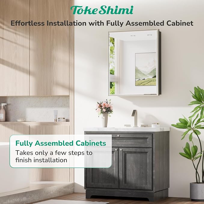 TokeShimi 24x36 Recessed Medicine Cabinet - Image 6