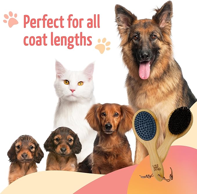 The Buddy System Combo Bristle Pet Brush, 2-in-1 Brush, Durable Rubber Side and - Image 5