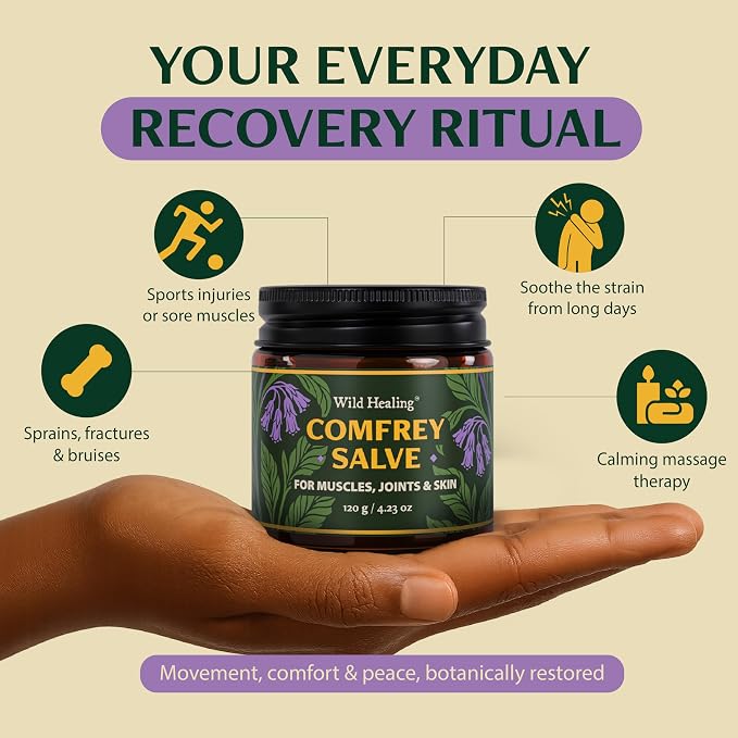 Wild Healing Comfrey Salve – Concentrated Herbal Balm - Image 7