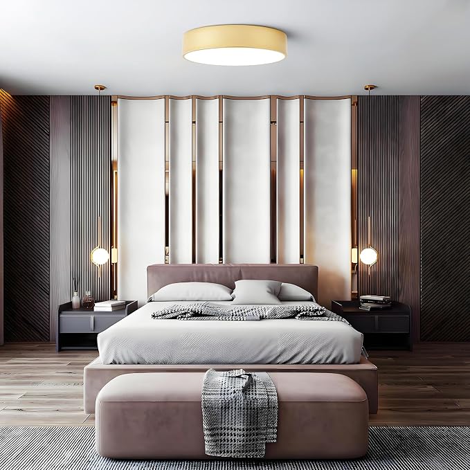 Dimmable Modern Large Flush Mount Close to Ceiling Light Fixture, Round Painted - Image 8