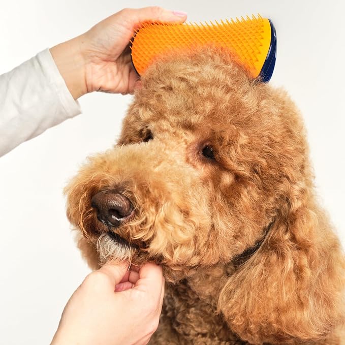 Pet Teezer Detangling Dog Grooming Brush, Dog Bath Brush - Image 3