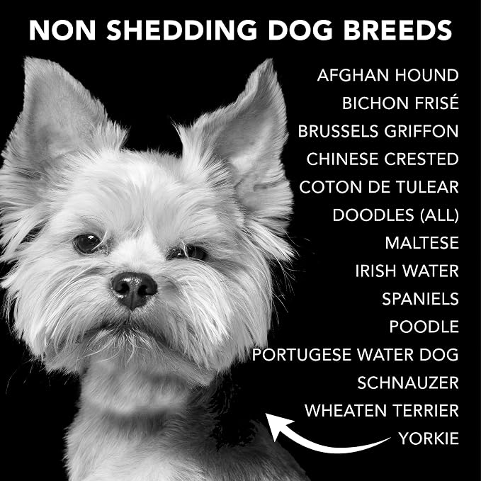 Pride and Groom The Non Shedder | Dog Grooming Shampoo - Image 8