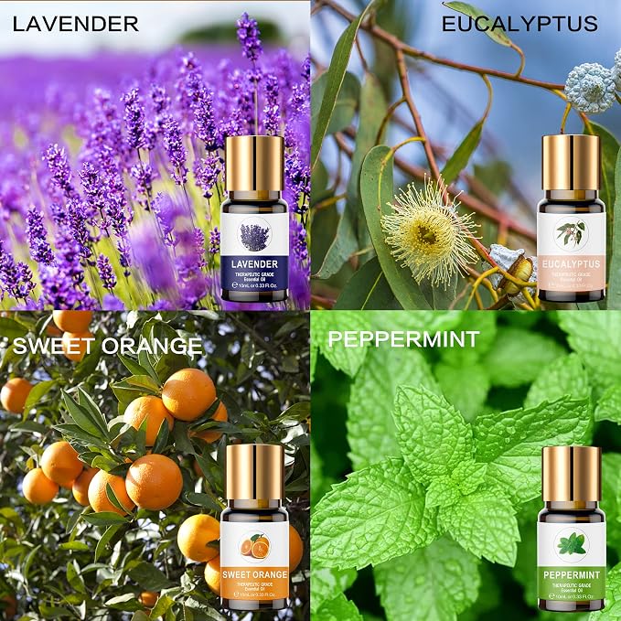 Essential Oils Set, 100% Organic Essential Oil, Ylang Ylang, Tea Tree, - Image 3