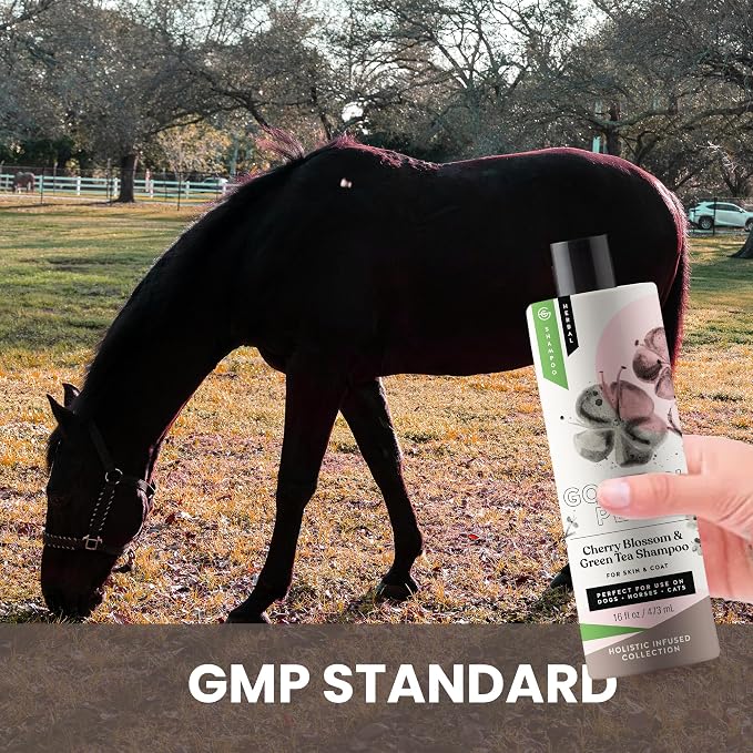 Holistic Natural Derived Cherry Blossom & Green Tea Pet Shampoo: Veterinarian - Image 7