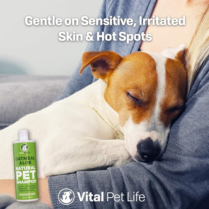 Dog Shampoo with Oatmeal, Aloe Vera, Jojoba Oil, Vitamin E - Image 8