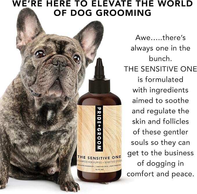 Pride and Groom The Sensitive One | Dog Grooming Shampoo - Image 5