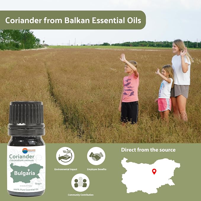 Coriander Essential Oil - Image 3