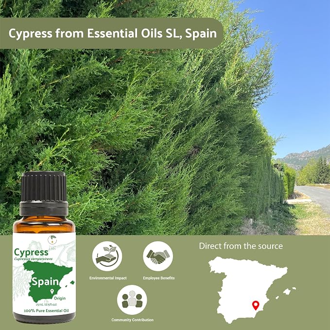 Cypress Essential Oil - Image 4
